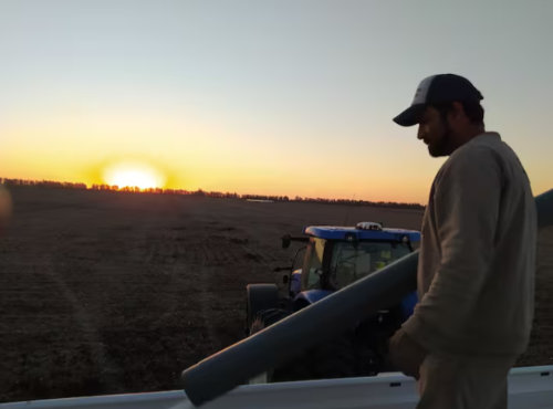 Empresa agropecuaria: un cambio de conducta donde la organización reina y el “vamos viendo” no es una opción